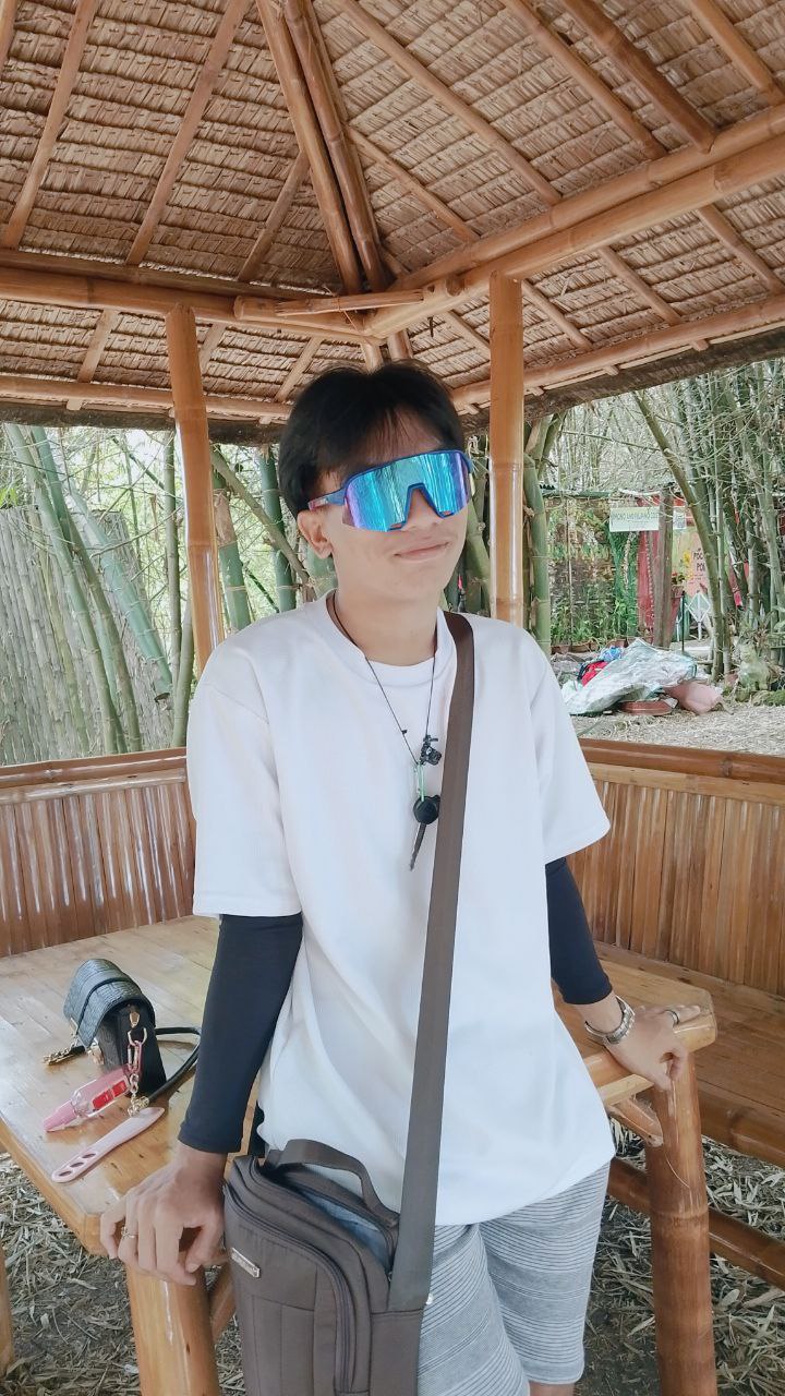 Bamboo 26